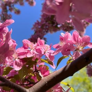 Meet your Posher, Abigail